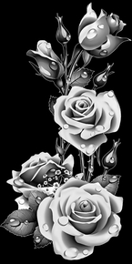 Розы боковые - картинки для гравировки